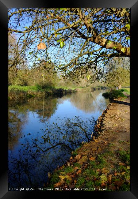 River Itchen Framed Print by Paul Chambers