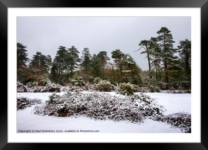 Winter In The New Forest Framed Mounted Print by Paul Chambers