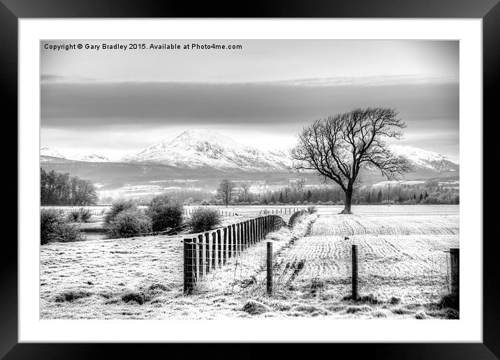  Winter Field Framed Mounted Print by GBR Photos