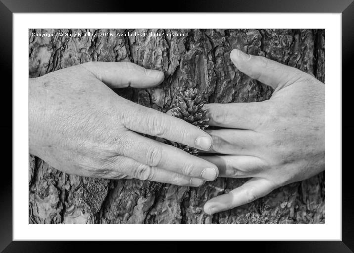Tree Hug Framed Mounted Print by GBR Photos