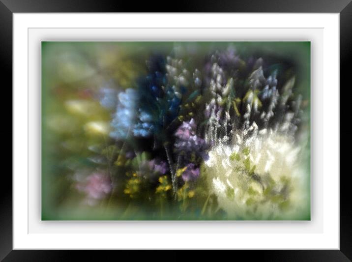 SUMMER BLOOMS Framed Mounted Print by Tony Sharp LRPS CPAGB