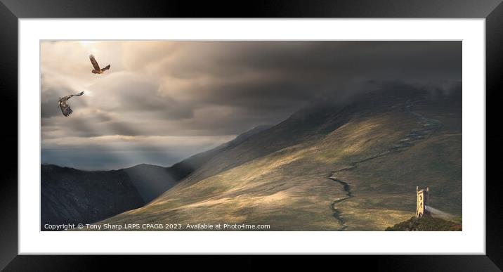 ON THE SLOPES OF BLENCATHRA Framed Mounted Print by Tony Sharp LRPS CPAGB