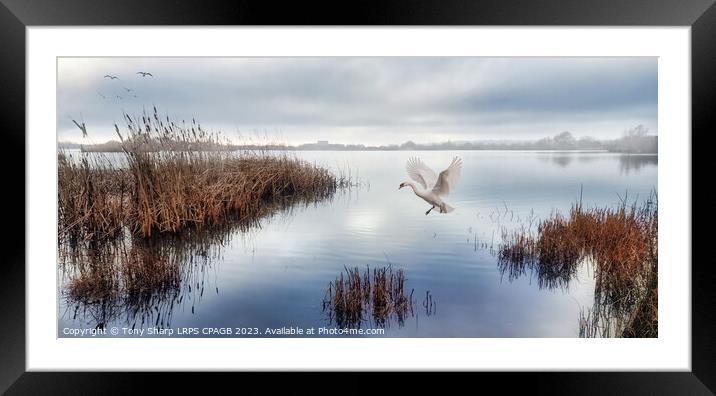 SOFT LANDING -GRAVEL QUARRY LAKE RYE HARBOUR NATURE RESERVE Framed Mounted Print by Tony Sharp LRPS CPAGB