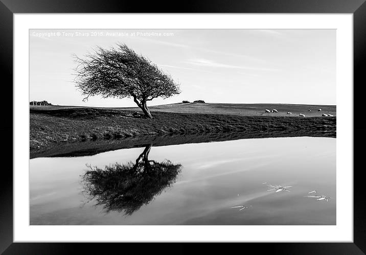  Dew Pond Framed Mounted Print by Tony Sharp LRPS CPAGB