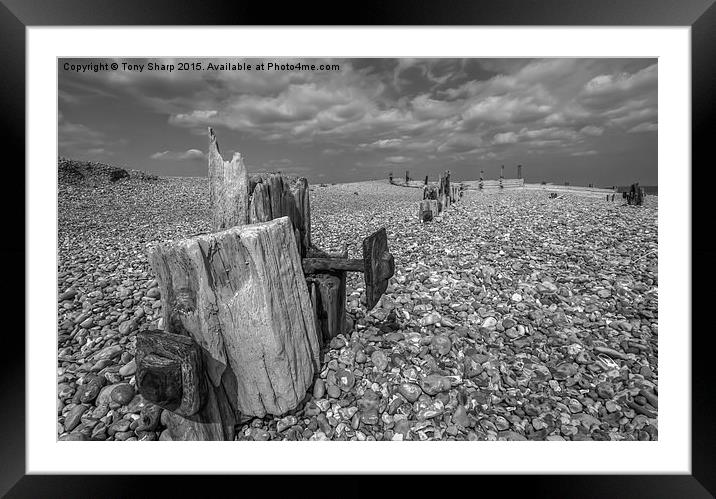  Shoreline Framed Mounted Print by Tony Sharp LRPS CPAGB