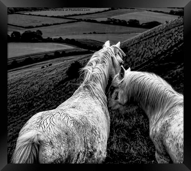  Greys on Dark Grey Framed Print by Tony Sharp LRPS CPAGB