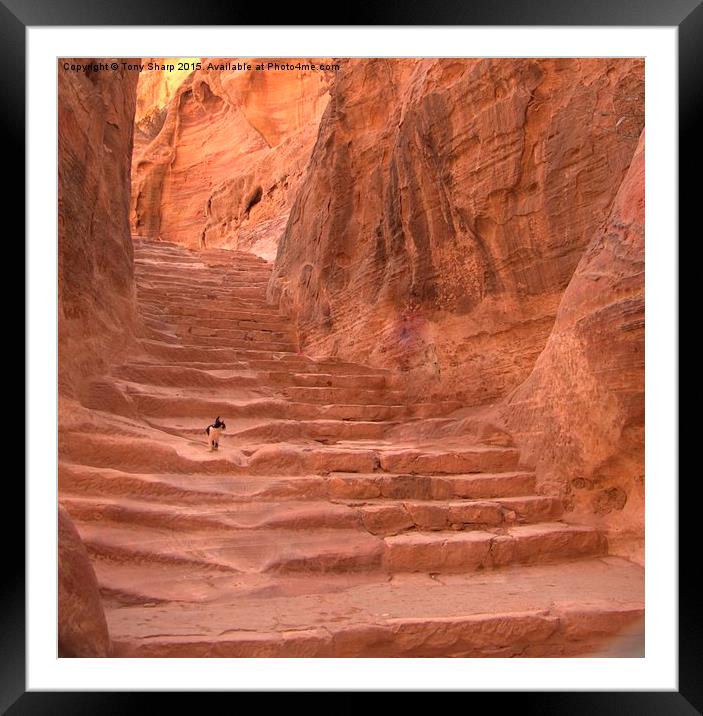  Lost in Petra Framed Mounted Print by Tony Sharp LRPS CPAGB