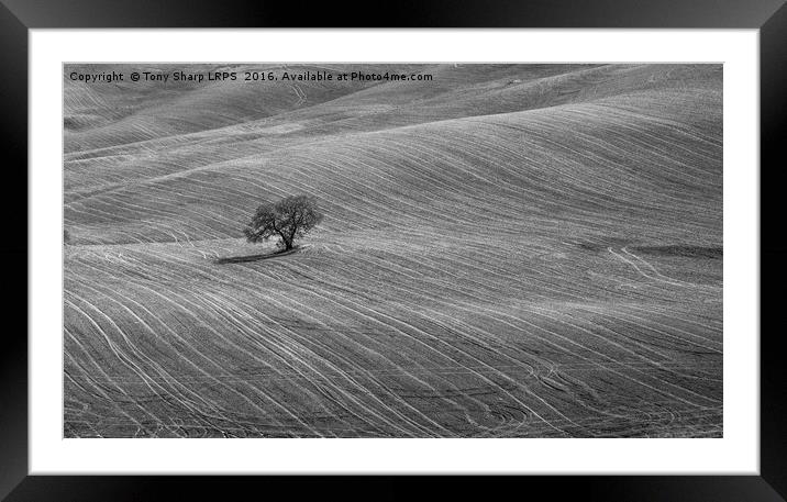 All Alone Framed Mounted Print by Tony Sharp LRPS CPAGB