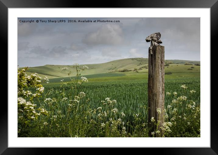 Rural Idyll Framed Mounted Print by Tony Sharp LRPS CPAGB