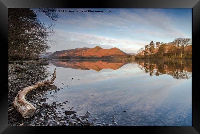 Derwent Water Reflection Framed Print by Tony Sharp LRPS CPAGB