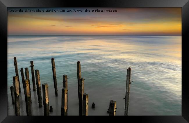 GUARDIANS Framed Print by Tony Sharp LRPS CPAGB