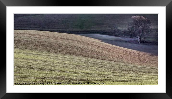 DOWNLAND WAVES Framed Mounted Print by Tony Sharp LRPS CPAGB