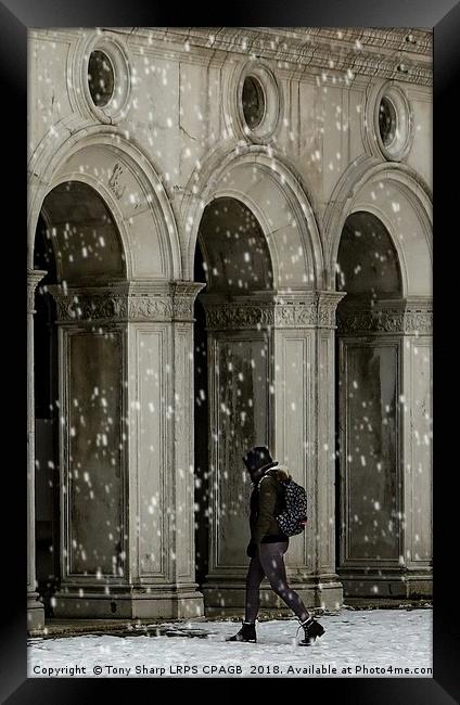 TAKING SHELTER Framed Print by Tony Sharp LRPS CPAGB