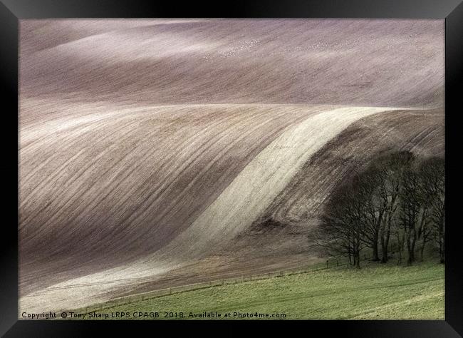 SOUTH DOWNS' FIELD PATTERNS Framed Print by Tony Sharp LRPS CPAGB