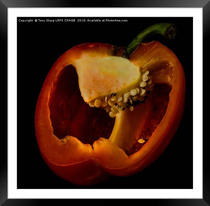 RIPE RED PEPPER Framed Mounted Print by Tony Sharp LRPS CPAGB