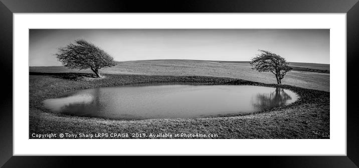 SUSSEX DOWNS DEWPOND Framed Mounted Print by Tony Sharp LRPS CPAGB