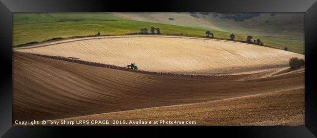 PLOUGHING THE SOUTH DOWNS Framed Print by Tony Sharp LRPS CPAGB