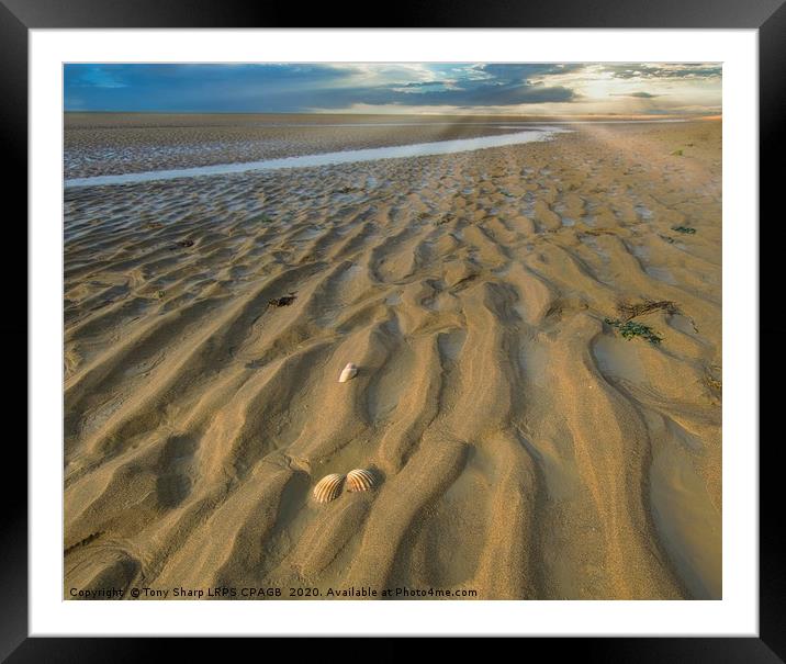 RYE HARBOUR SANDS Framed Mounted Print by Tony Sharp LRPS CPAGB