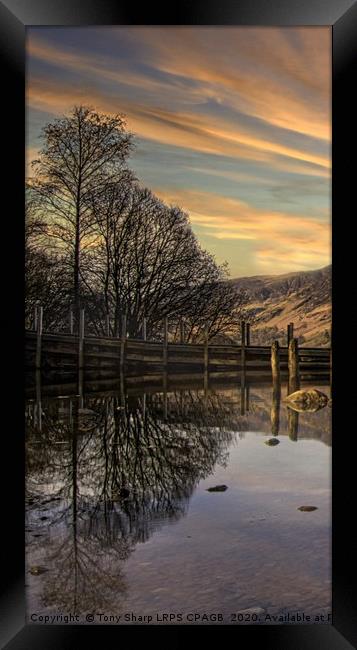 TREE REFLECTIONS ON DERWENTWATER. Framed Print by Tony Sharp LRPS CPAGB