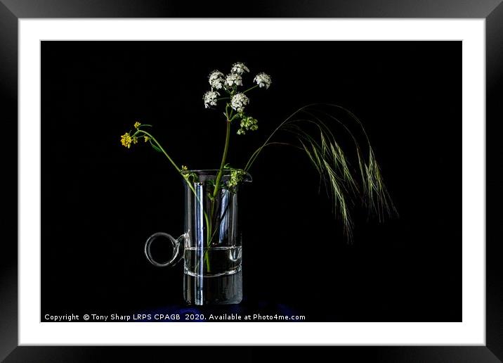 MEADOW FLOWERS AND GRASS STEM IN AN ELEGANT GLASS  Framed Mounted Print by Tony Sharp LRPS CPAGB