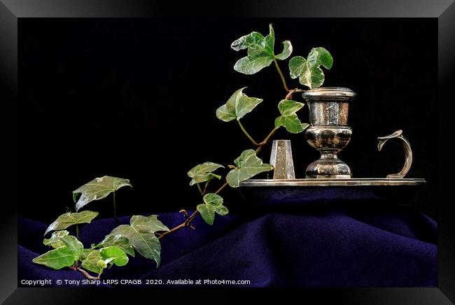 CANDLE HOLDER WITH IVY SPRIG Framed Print by Tony Sharp LRPS CPAGB