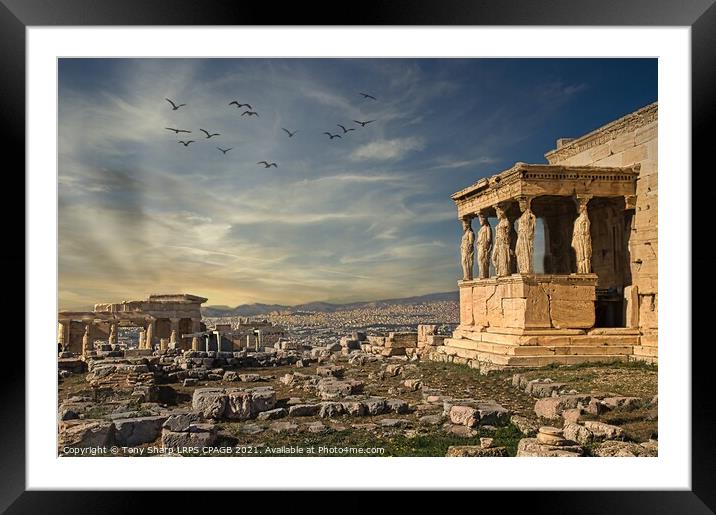 The Caryatid porch of the Erechtheion in Athens Framed Mounted Print by Tony Sharp LRPS CPAGB