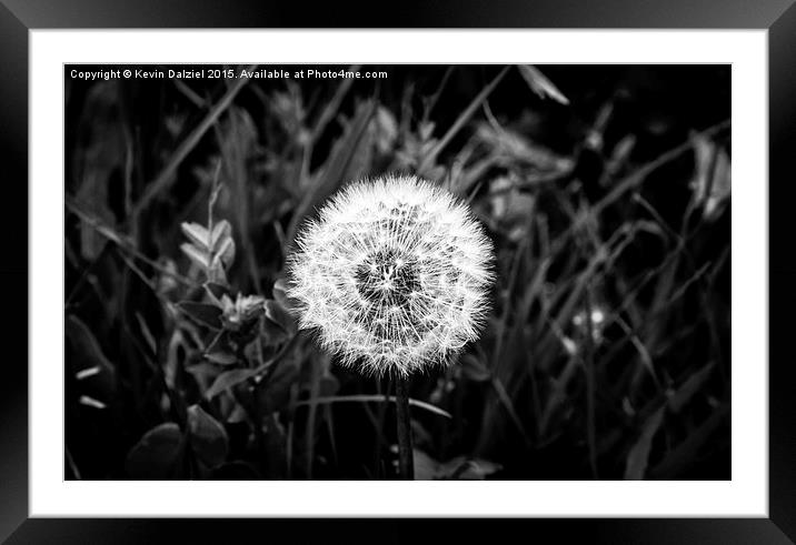  Make a Wish Framed Mounted Print by Kevin Dalziel