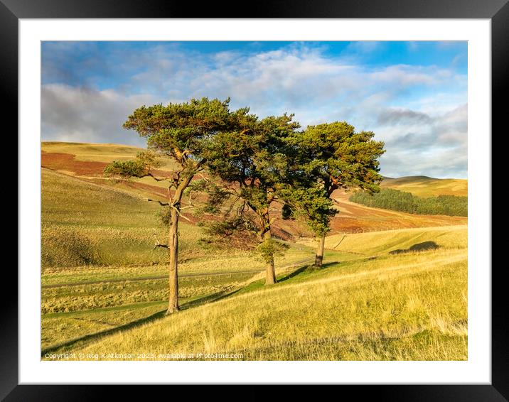 Power of Three Framed Mounted Print by Reg K Atkinson