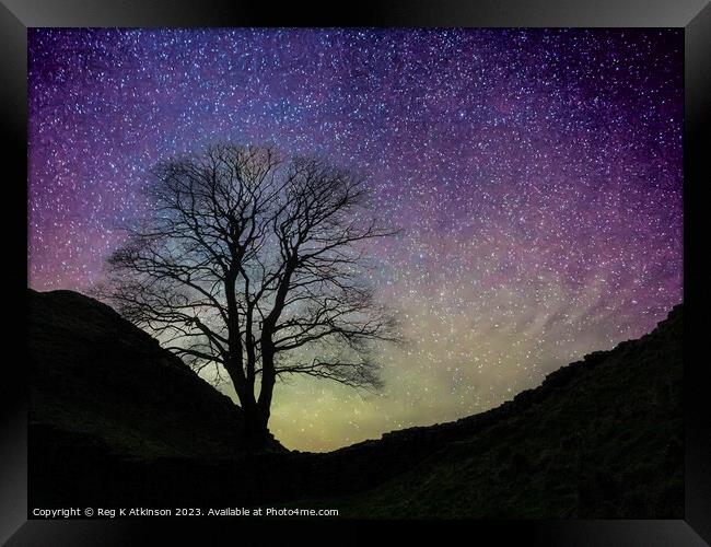 Starry Night Sycamore Gap Framed Print by Reg K Atkinson