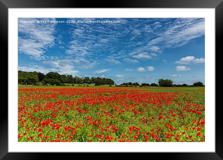 County Durham Poppies Framed Mounted Print by Reg K Atkinson
