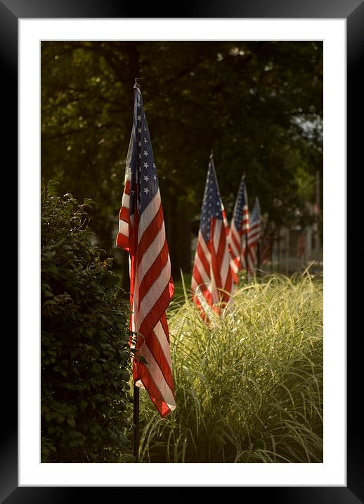  Stars and Stripes Framed Mounted Print by Peter Isaacson