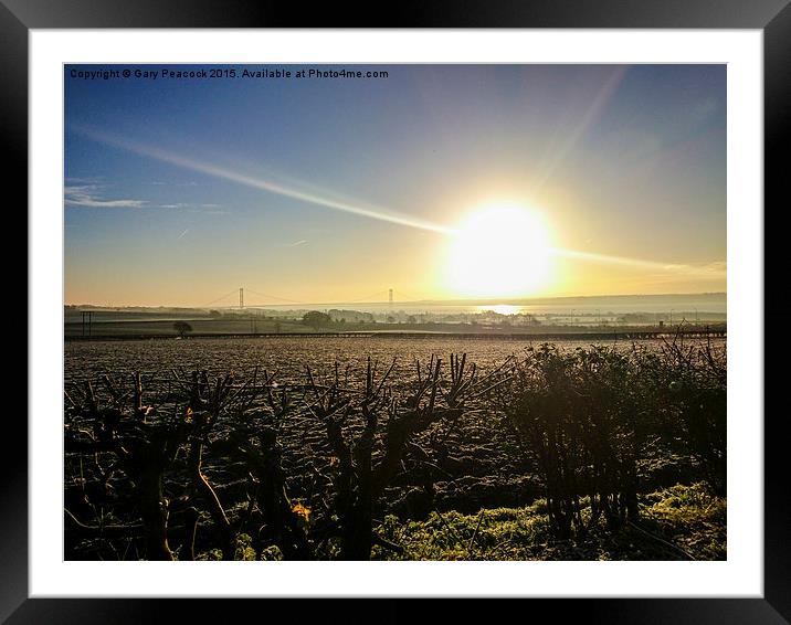   Sunrise over the Humber Framed Mounted Print by Gary Peacock