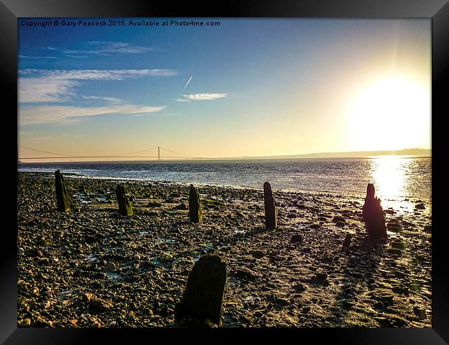  Dawn on the Humber Framed Print by Gary Peacock