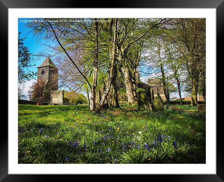 Springtime amongst the graves  Framed Mounted Print by Gary Peacock