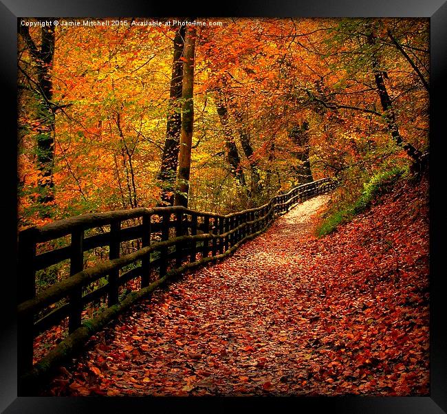  Autumn Path Framed Print by Jamie Mitchell