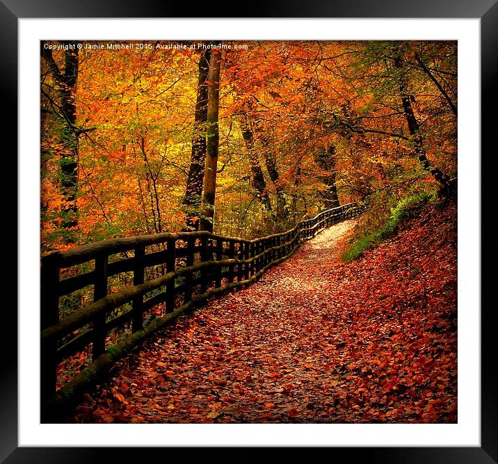  Autumn Path Framed Mounted Print by Jamie Mitchell