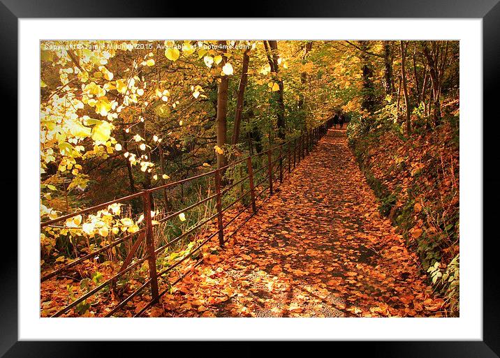  Autumn Walk Framed Mounted Print by Jamie Mitchell