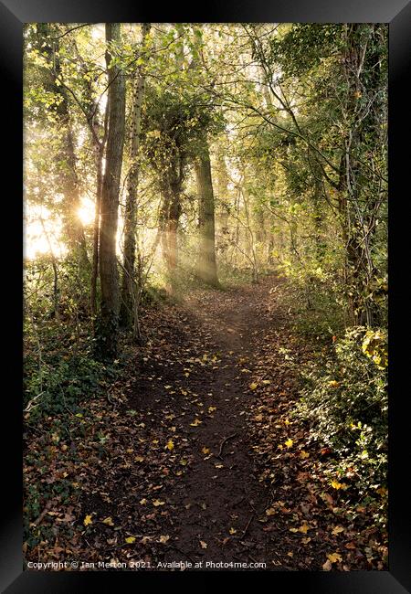 Morning Walk Framed Print by Ian Merton