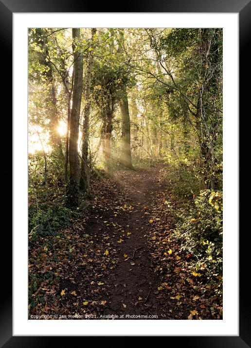 Morning Walk Framed Mounted Print by Ian Merton