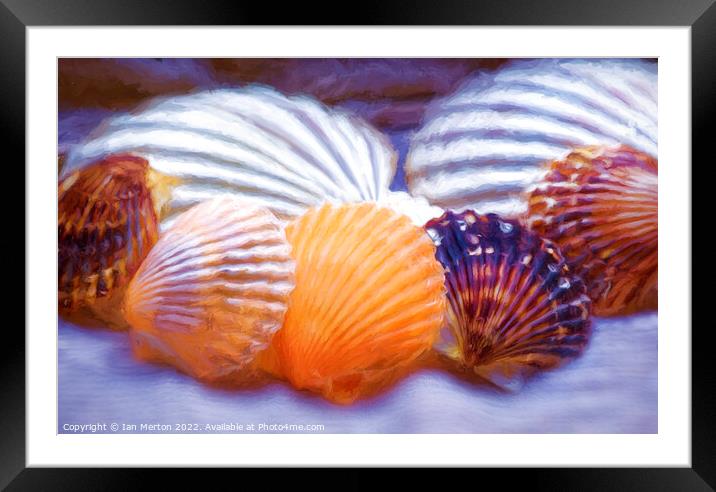 Shells Framed Mounted Print by Ian Merton