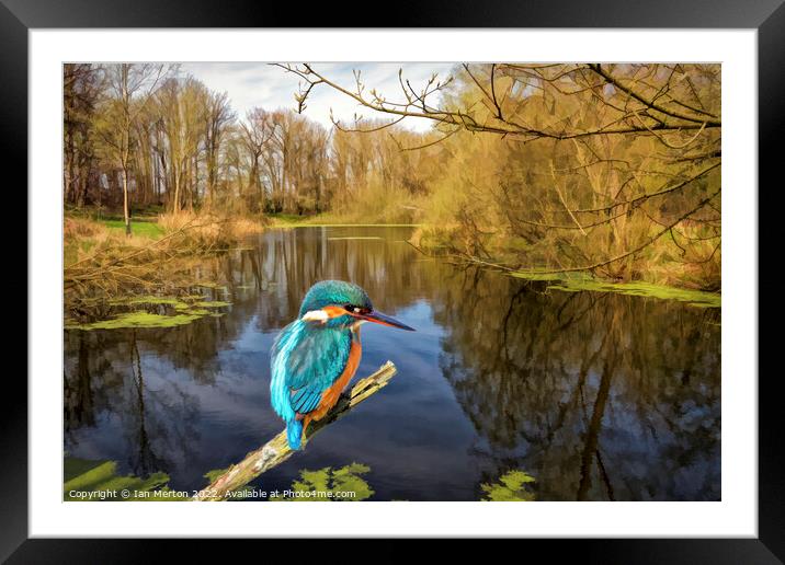 Pond Fishing. Framed Mounted Print by Ian Merton