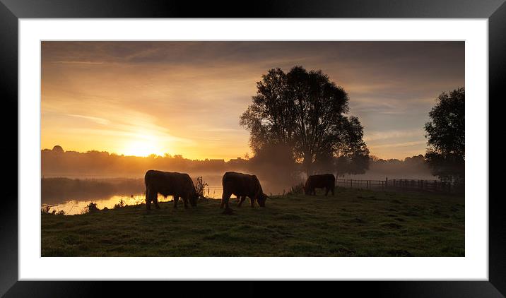  Early Grazing Framed Mounted Print by Ian Merton