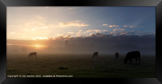 Misty Meadows Framed Print by Ian Merton