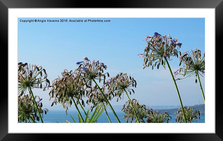  The last day of summer St Mawes Cornwall Framed Mounted Print by Angie Keverne