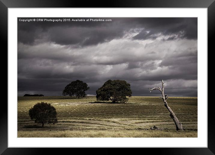  Moody Framed Mounted Print by CRW Photography