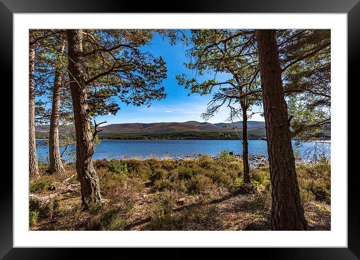  Cairngorm from Loch Morlich Framed Mounted Print by Nick Rowland