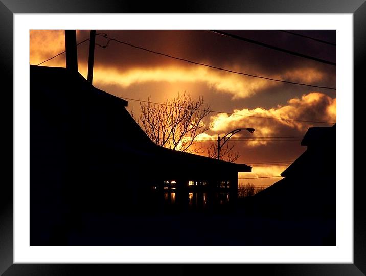  Winter Sunset Silhouette Framed Mounted Print by dan Comeau