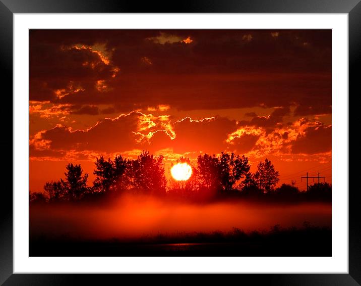  Flaming Horses over the Foggy Sunrise  Framed Mounted Print by dan Comeau