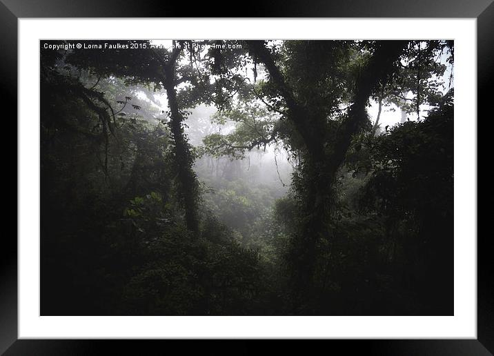 Costa Rican Jungle  Framed Mounted Print by Lorna Faulkes