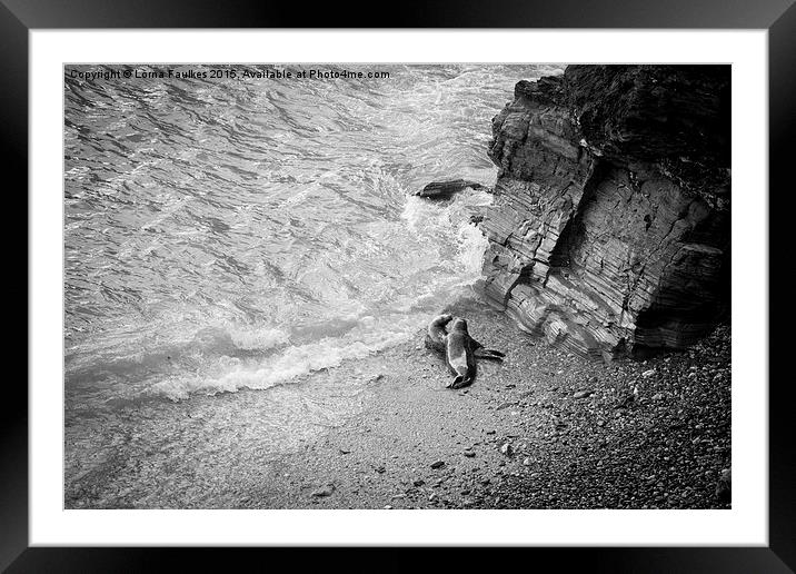 Guardians of Godrevy  Framed Mounted Print by Lorna Faulkes